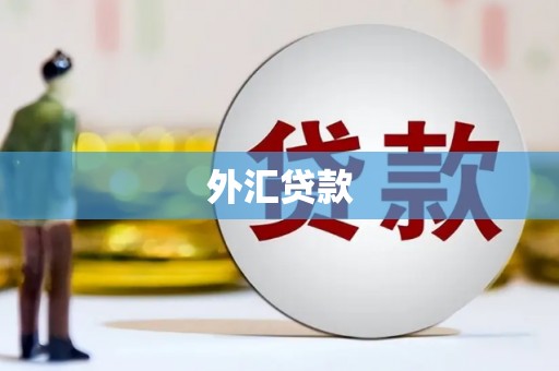 山南外汇贷款