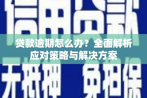 儋州贷款逾期怎么办？全面解析应对策略与解决方案