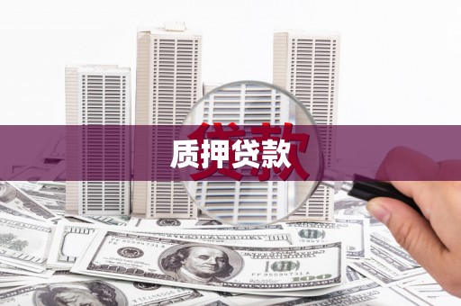 大余质押贷款
