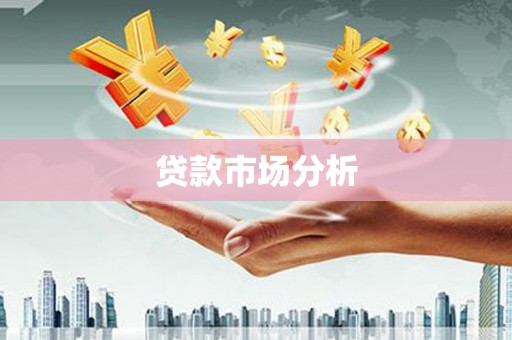 海盐贷款市场分析