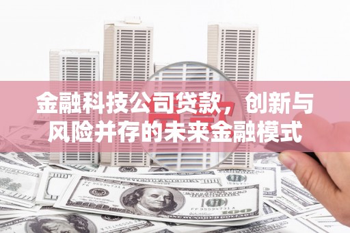 马尔康金融科技公司贷款，创新与风险并存的未来金融模式