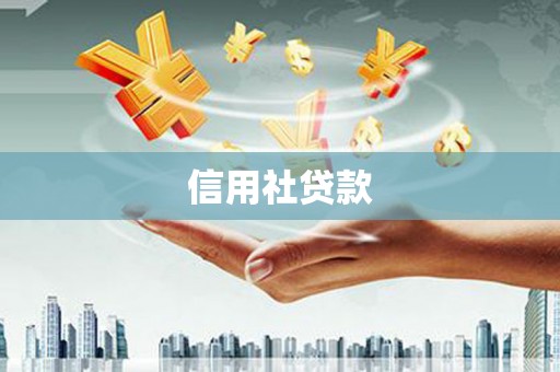 保德信用社贷款