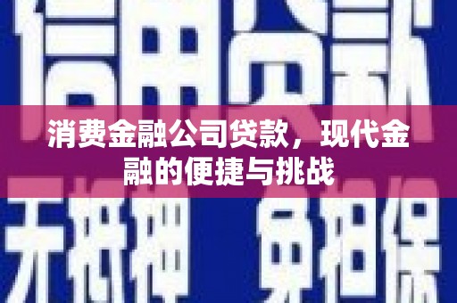 法库消费金融公司贷款，现代金融的便捷与挑战