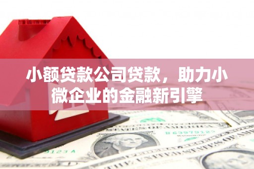 遂宁小额贷款公司贷款，助力小微企业的金融新引擎