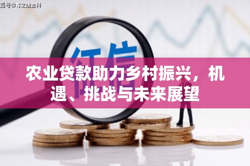 竹崎农业贷款助力乡村振兴，机遇、挑战与未来展望