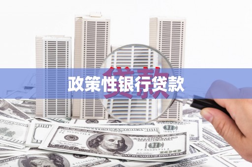 北竿政策性银行贷款