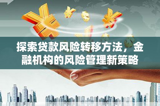 琼中探索贷款风险转移方法，金融机构的风险管理新策略