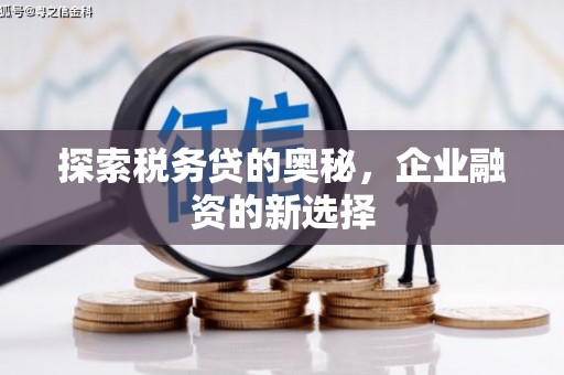 璧山探索税务贷的奥秘，企业融资的新选择