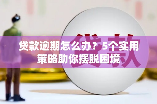 万峦贷款逾期怎么办？5个实用策略助你摆脱困境