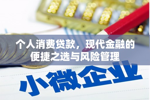 丰宁个人消费贷款，现代金融的便捷之选与风险管理