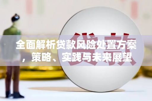 炉霍全面解析贷款风险处置方案，策略、实践与未来展望