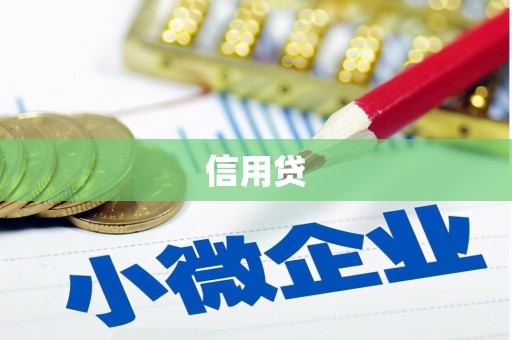 庆元信用贷