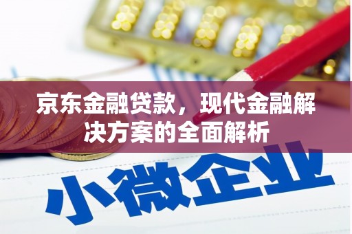 施甸京东金融贷款，现代金融解决方案的全面解析