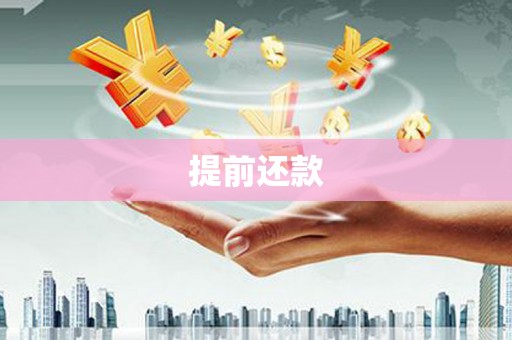 梅山提前还款