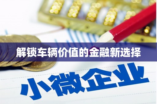 泗水解锁车辆价值的金融新选择