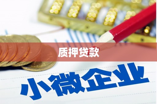 庆元质押贷款