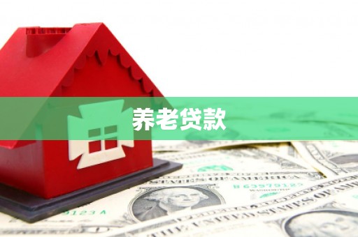 阜宁养老贷款