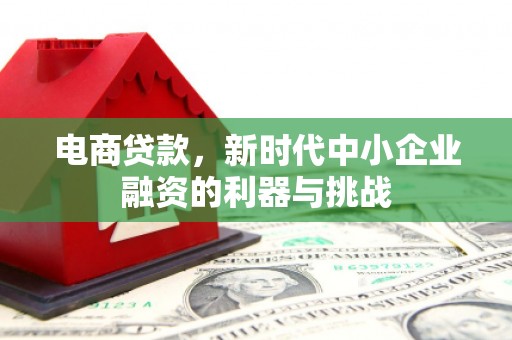 马山电商贷款，新时代中小企业融资的利器与挑战