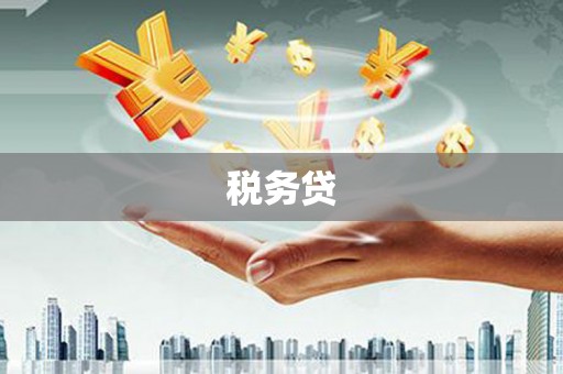 邗江税务贷
