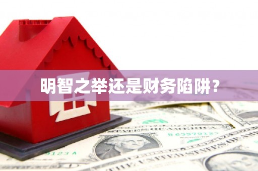 芦竹明智之举还是财务陷阱？