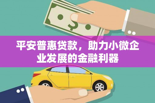沙鹿平安普惠贷款，助力小微企业发展的金融利器