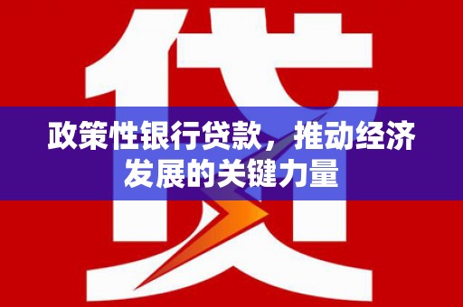 西林政策性银行贷款，推动经济发展的关键力量