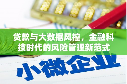 德令哈贷款与大数据风控，金融科技时代的风险管理新范式