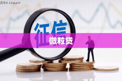 雅江微粒贷