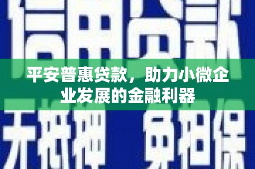 鹿野平安普惠贷款，助力小微企业发展的金融利器