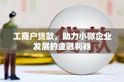 鼎城工商户贷款，助力小微企业发展的金融利器