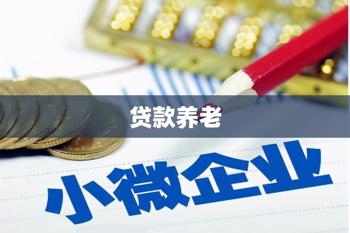 三明贷款养老