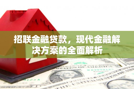 灵武招联金融贷款，现代金融解决方案的全面解析