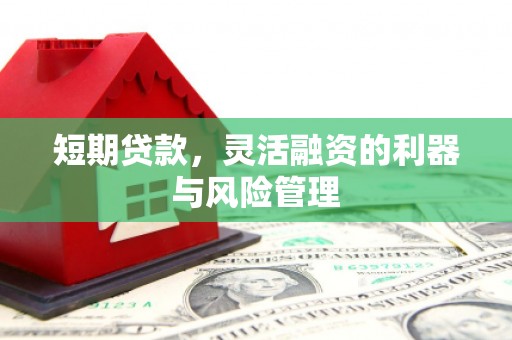 营口短期贷款，灵活融资的利器与风险管理