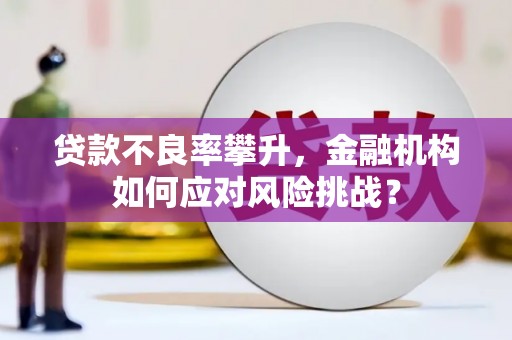 泾川贷款不良率攀升，金融机构如何应对风险挑战？