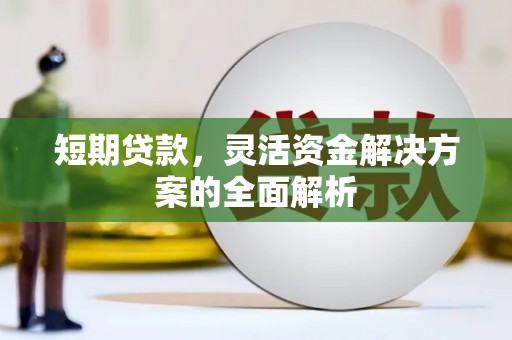 拉孜短期贷款，灵活资金解决方案的全面解析