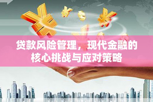 新蔡贷款风险管理，现代金融的核心挑战与应对策略