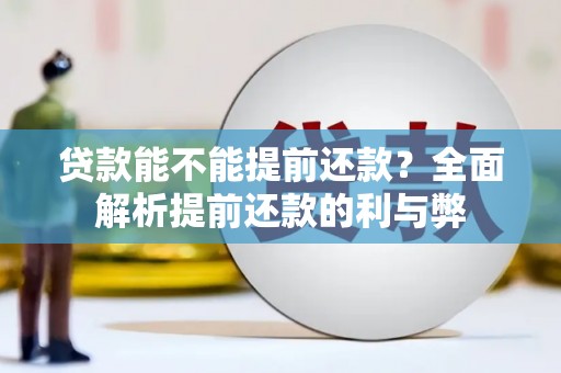 叙永贷款能不能提前还款？全面解析提前还款的利与弊
