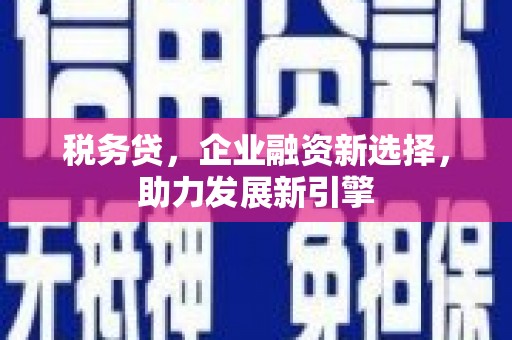 芒市税务贷，企业融资新选择，助力发展新引擎