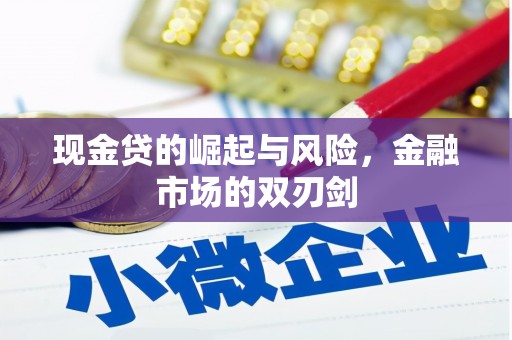 南市现金贷的崛起与风险，金融市场的双刃剑