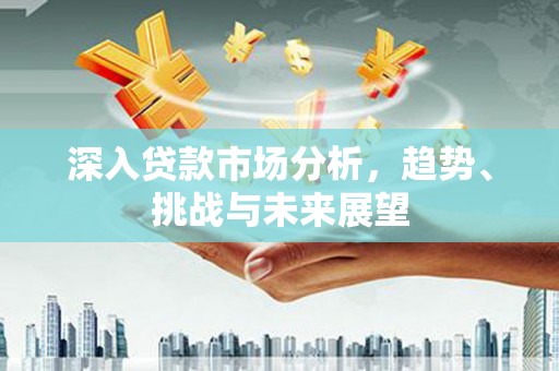 巴楚深入贷款市场分析，趋势、挑战与未来展望