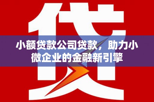 大朗小额贷款公司贷款，助力小微企业的金融新引擎