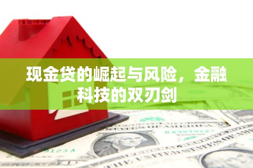 陇南现金贷的崛起与风险，金融科技的双刃剑