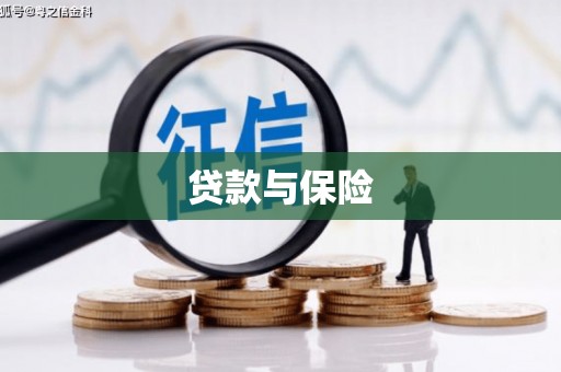 辛集贷款与保险