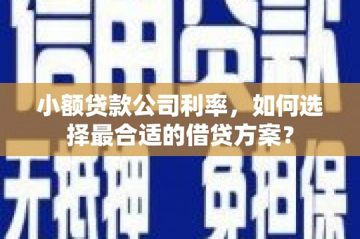 正宁小额贷款公司利率，如何选择最合适的借贷方案？
