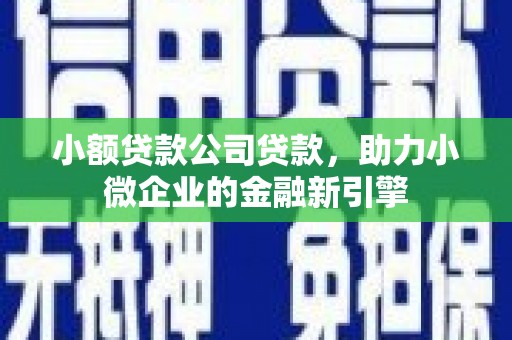 秀洲小额贷款公司贷款，助力小微企业的金融新引擎