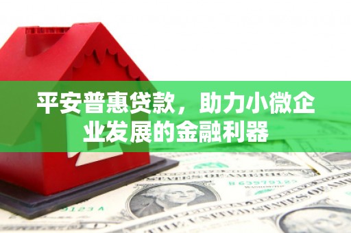 修文平安普惠贷款，助力小微企业发展的金融利器