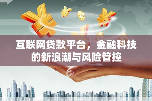 共和互联网贷款平台，金融科技的新浪潮与风险管控