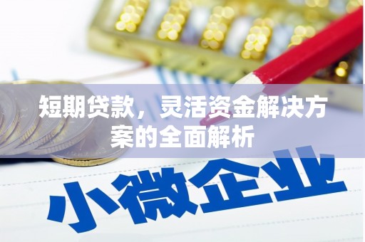 松原短期贷款，灵活资金解决方案的全面解析