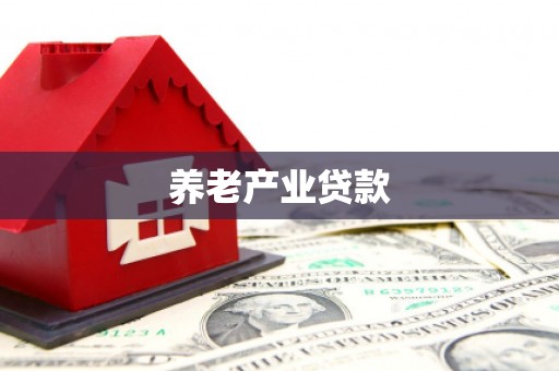 桓台养老产业贷款