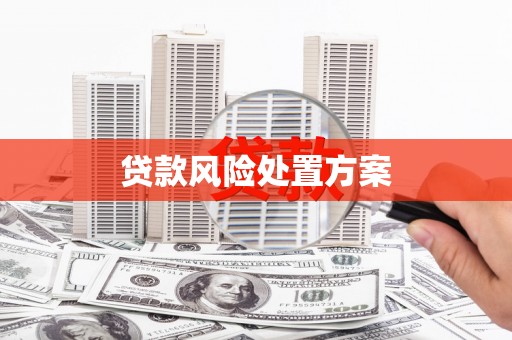 天门贷款风险处置方案